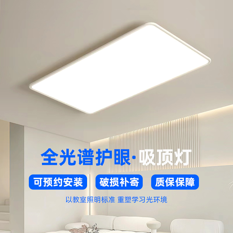 Full Spectrum Eye Protection LED Ceiling Lamp Home Living Room Creative Bedroom Modern Preh Lighting Decoration Factory Whole House
